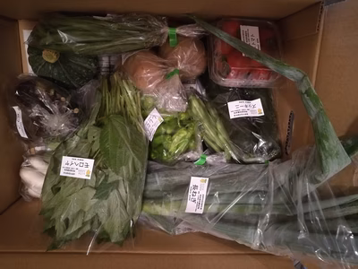 みんなの投稿の画像