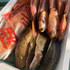 アマダイ＋厳選鮮魚詰め合わせセット!!（お選びいただけます）