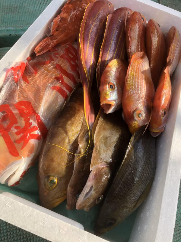 アマダイ＋厳選鮮魚詰め合わせセット!!（お選びいただけます）