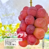 シャイン品種食べ比べ！シャインマスカット＋赤ぶどう2品種　甘さたっぷりセット