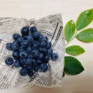 霧島ブルーベリー生(鹿児島県産)