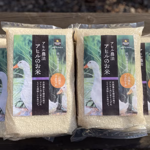 令和6年度産「アヒルのお米(キヌムスメ)」白米【岡山県備前市】