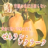 【黄金に熟す洋梨の宝石】ゼネラル・レクラーク☆約1.5kg【10月予約】