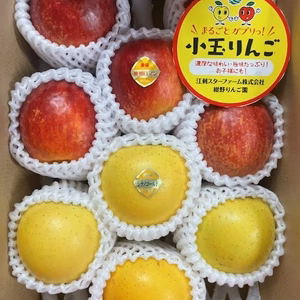 まるごとガブリっ！岩手江刺産【小玉：奥州ロマン&シナノゴールド】