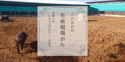 猛暑 長雨 雨不足…相次ぐ"予想外"に現場は😨8月後半の生産現場から