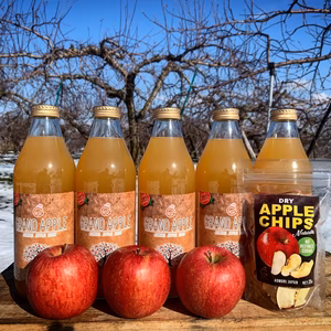 青森県産サンふじ100%無添加ジュース1リットル5本➕乾燥りんご35g