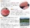 【美味しいローストビーフに！ 】鳥取和牛やわらか赤身ブロック（モモ、ウデ他）
