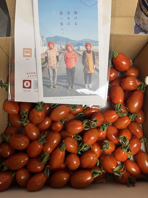 みんなの投稿の画像