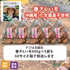 【送料無料】春キクイモ｜沖縄県名護市（無農薬・無化学肥料）