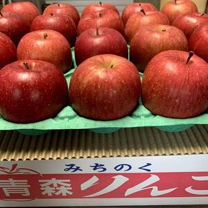 ～青森より直送～　※小玉食べきりサイズ※『蜜入り完熟サンふじ』【秀品】