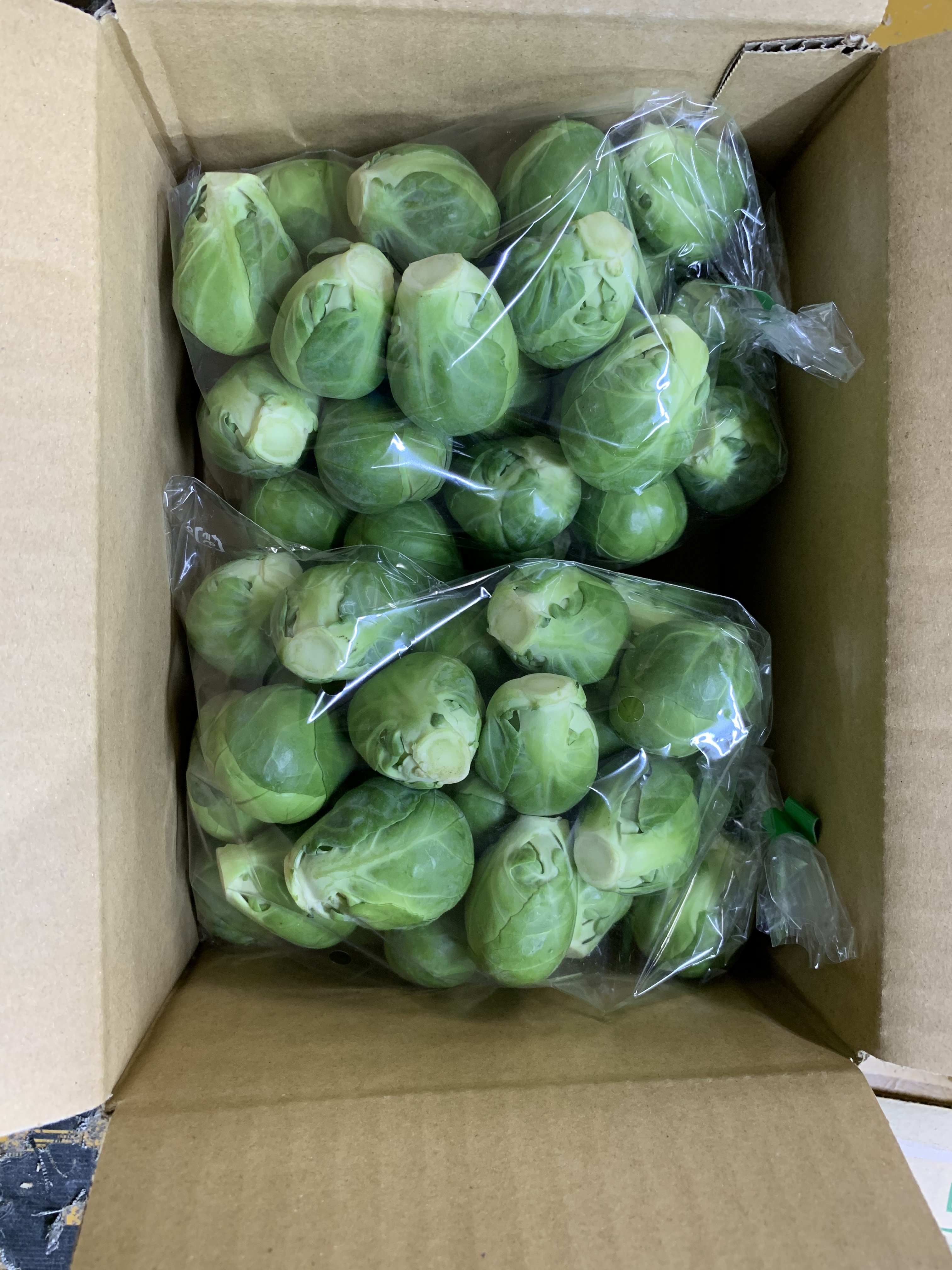 甘味たっぷり静岡芽キャベツ｜キャベツの商品詳細｜ポケットマルシェ