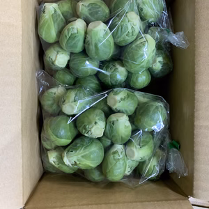 甘味たっぷり静岡芽キャベツ