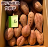 【絶品】種子島産 安納芋 Lサイズ｜aimo農園