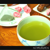 【緑茶】名入れ＆メッセージ★オリジナル プチギフト《春季限定 桜デザイン》
