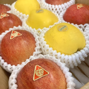 岩手県産りんご　サンふじ、シナゴールドセット　3キロ