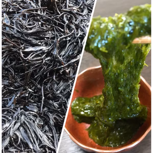 新春！海の恵みの海藻セット‼️粘り大好評アカモクと美味しすぎる釜揚げひじき