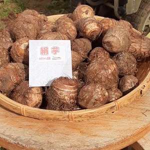 絹のように滑らかな食感がたまらない❣絹芋(里芋)