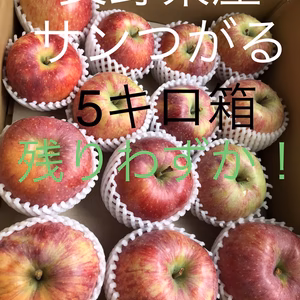 信州産サンつがる5キロ