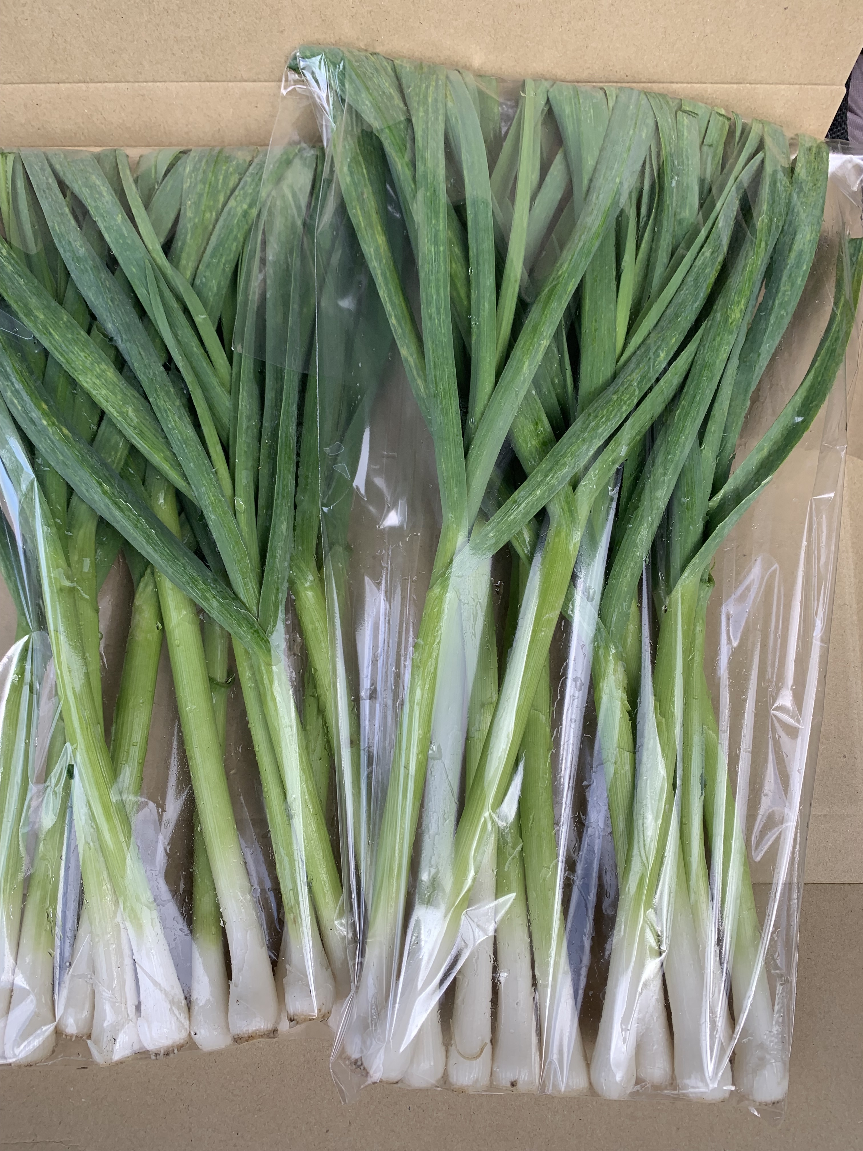 葉ニンニクの産直通販・お取り寄せ商品｜ポケットマルシェ｜産地直送で