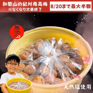 最大半額!数量限定!盆セール! 大容量 無添加 紀州南高梅 梅干 和歌山