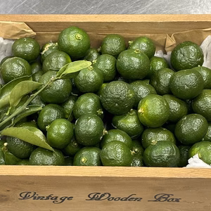 爽やかな酸味！採れたて【シークワーサー】