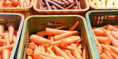 人参ジュースの原点