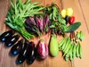 【クール便:週一回】自然農法、自然栽培の旬の野菜詰め合わせセットMサイズ