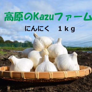 信州八ヶ岳産　農薬・化学肥料栽培期間中不使用にんにく　