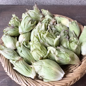 里山の天然ふきのとう【（蕾）200g＋開いたふきのとう】収穫した日に発送！