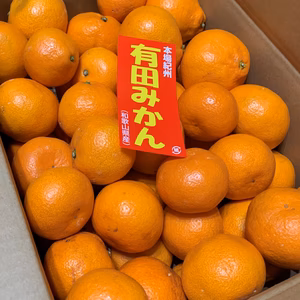 【数量限定!早い者勝ち】『ちびたまみかん』有田みかんちびサイズ