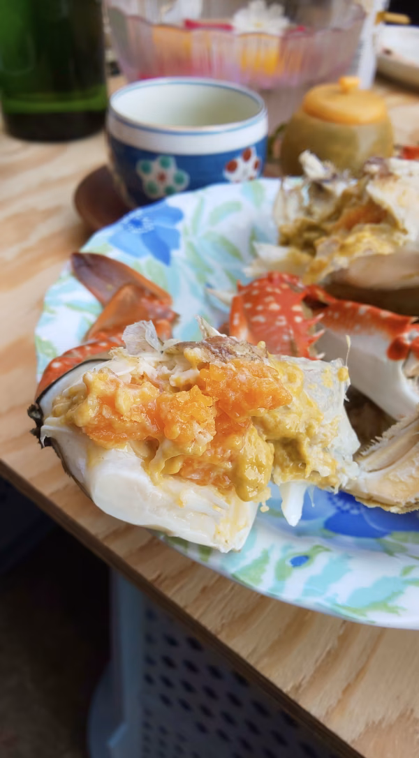 漁師直送！冬の竹崎カニ　中3匹