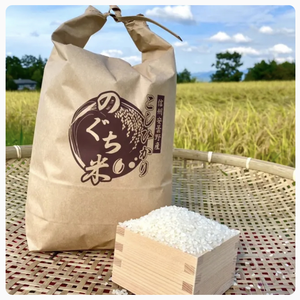 のぐちファーム安曇野産☆新米☆特別栽培米　令和4年コシヒカリ10kg