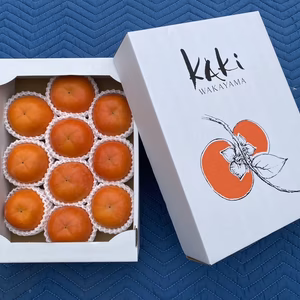 和歌山晩秋の味覚　富有柿　贈答用10玉入り