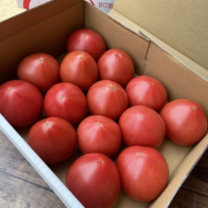 赤熟もぎり！水耕栽培の王様トマト  S玉 2キロ箱満杯