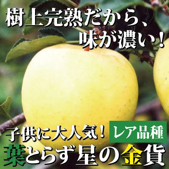 一度は食べて頂きたい！】和梨みたいな青森県産りんご「樹上完熟葉とら