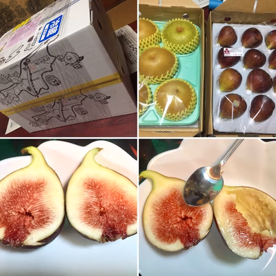 みんなの投稿の画像