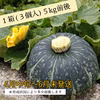 三浦カボチャ(3個入り)