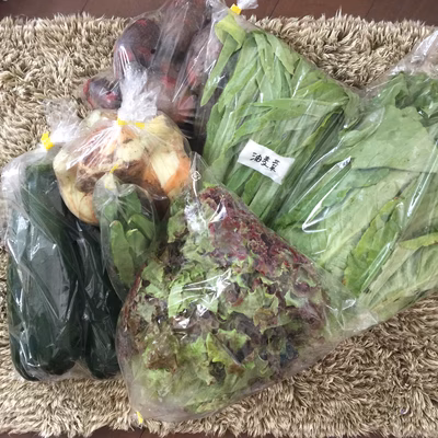 みんなの投稿の画像