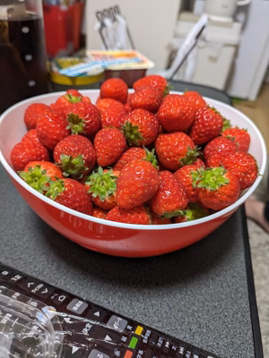 みんなの投稿の画像