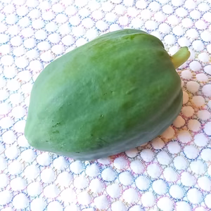 【健康気遣うあなたへ】"パパイヤの実　& "パパイヤの葉っぱ　