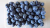 フレッシュ　ブルーベリー　【特大サイズ】　送料込み