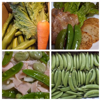 みんなの投稿の画像