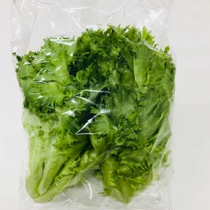 【毎日旬な野菜をお届け！】フリルレタス200ｇ　12袋セット