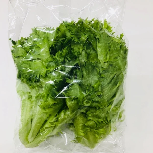 【毎日旬な野菜をお届け！】フリルレタス200ｇ　12袋セット