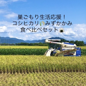 巣ごもり生活応援！滋賀県産減農薬栽培みずかがみ、コシヒカリ食べ比べセット