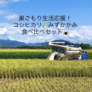 巣ごもり生活応援！滋賀県産減農薬栽培みずかがみ、コシヒカリ食べ比べセット