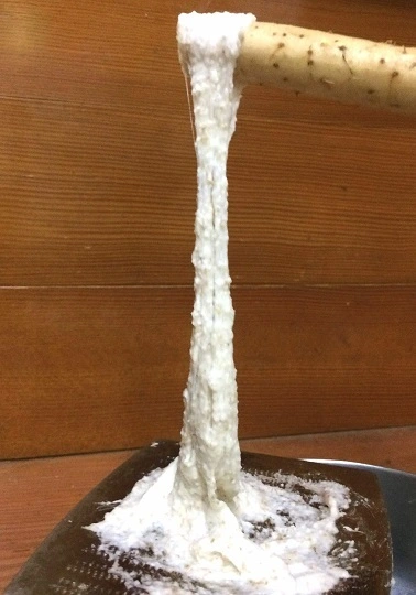 自然薯『山のうなぎ』頑張る人へ！（1～2本）約800gと1kg#山薬#栄養