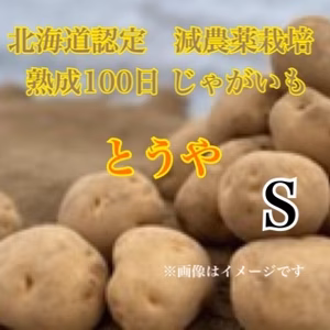 《50日間限定販売！》減農薬栽培 熟成100日じゃがいも【とうや】Ｓサイズ