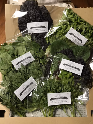 みんなの投稿の画像