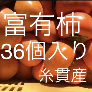 甘さあふれる‼️富有柿Sサイズ36個入り⭐️産地直送